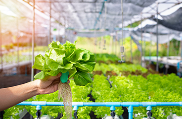 P4_7_AdobeStock_283852162-img